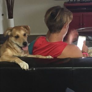 Meet your Posher, Chaytin